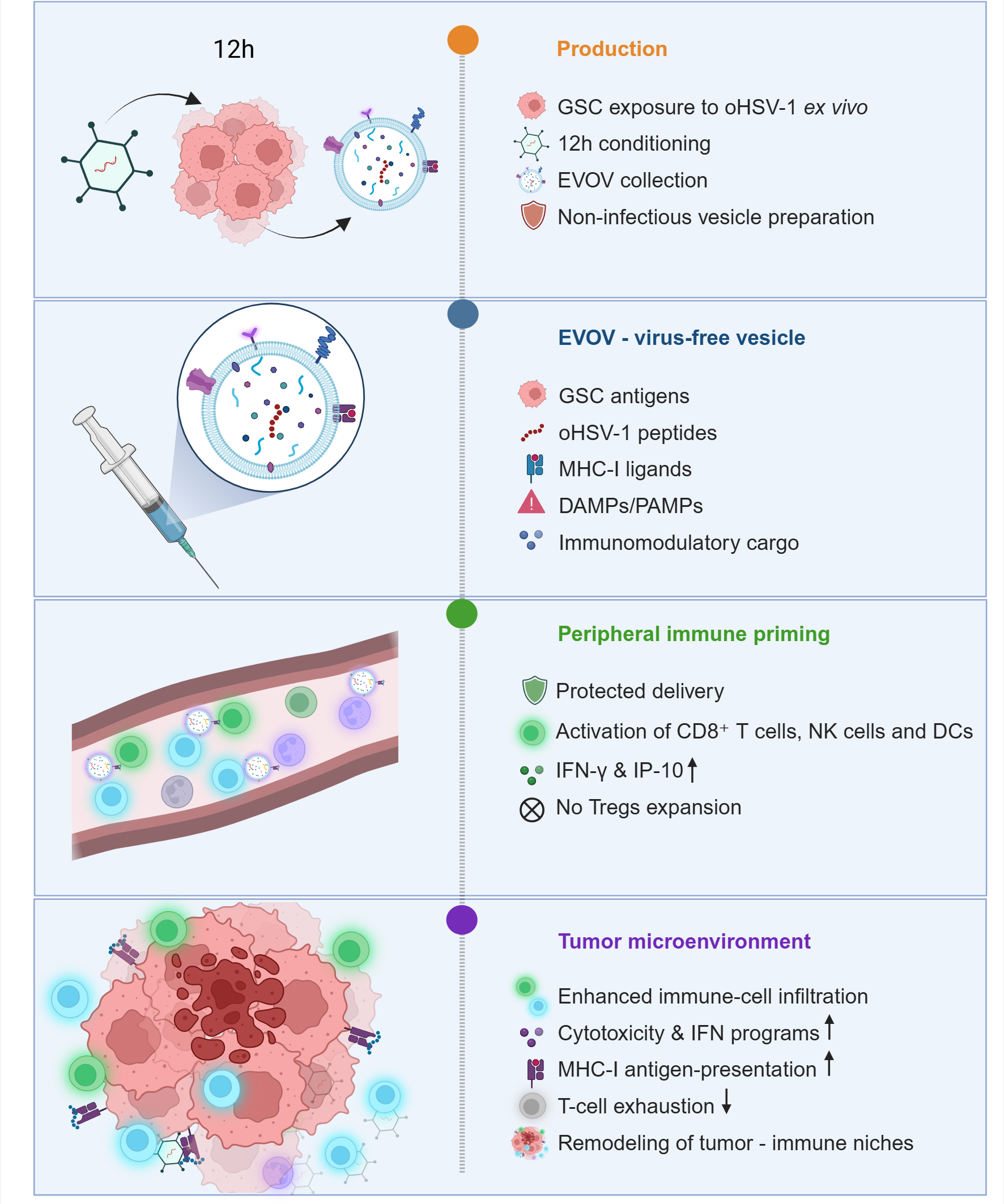 Graphical abstract