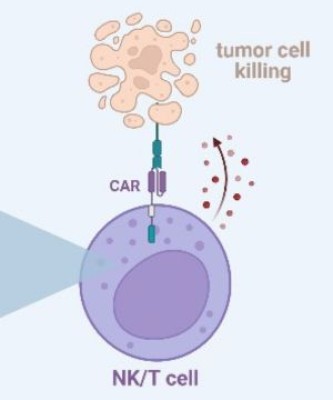Publikacja w Cancer Research