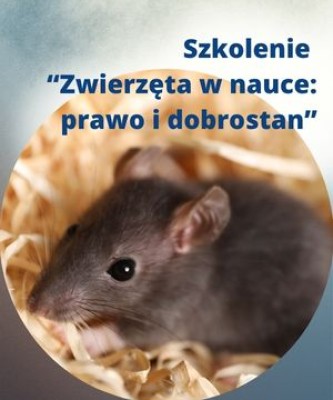 Szkolenie 